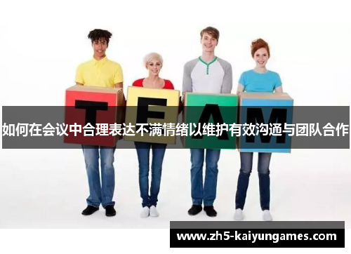 如何在会议中合理表达不满情绪以维护有效沟通与团队合作